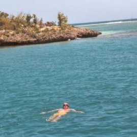 Antigua-GreenIslandReef.jpg